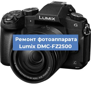 Чистка матрицы на фотоаппарате Lumix DMC-FZ2500 в Тюмени